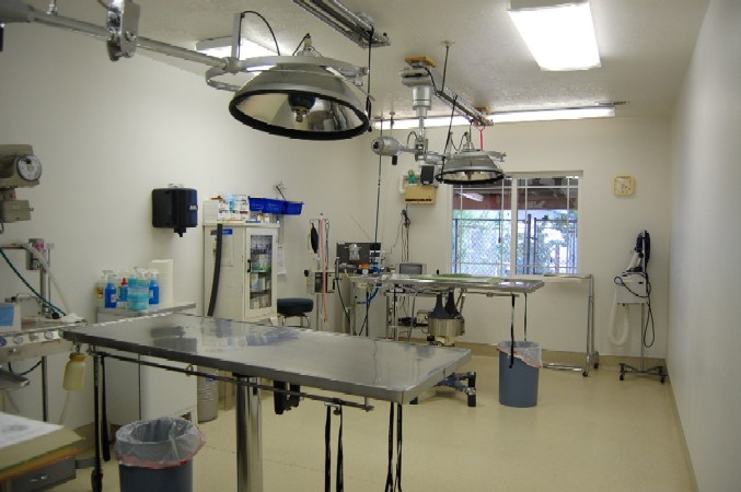 Surgery Surgery