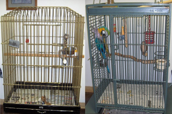 Bird Cages Bird Cages