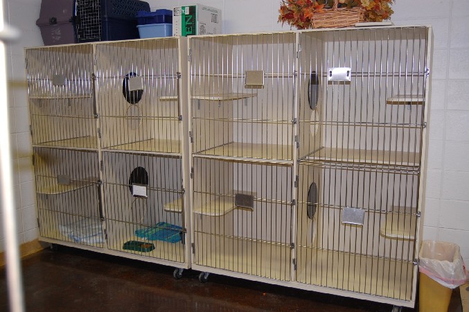 Cat Condos