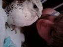 Kate and our favorite falcon Ditto