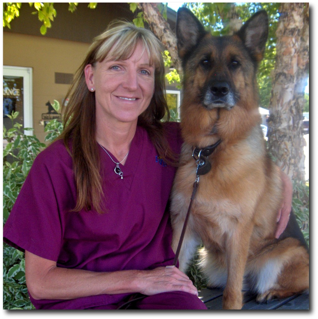 Support Team Idaho Veterinary Hospital