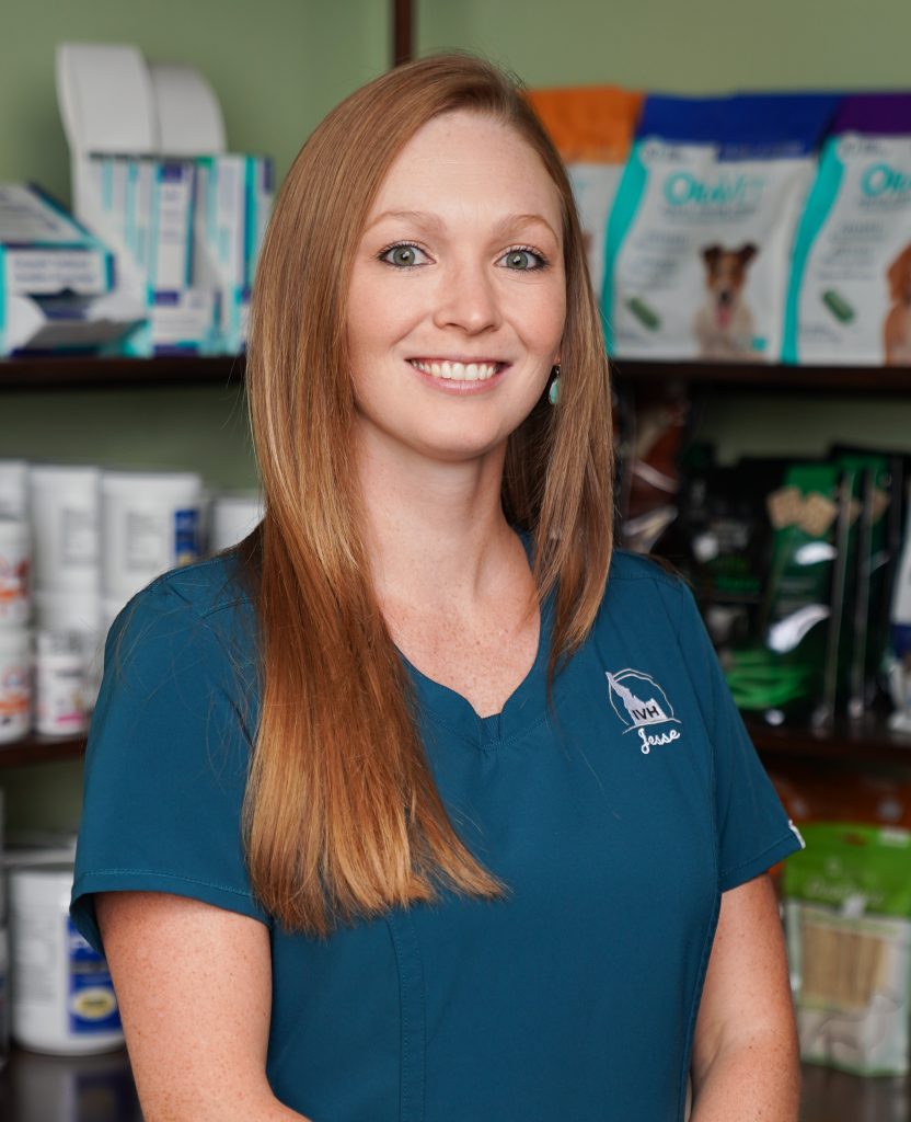 Meet the Team Idaho Veterinary Hospital