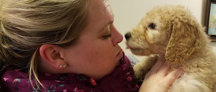 A dog at the vet