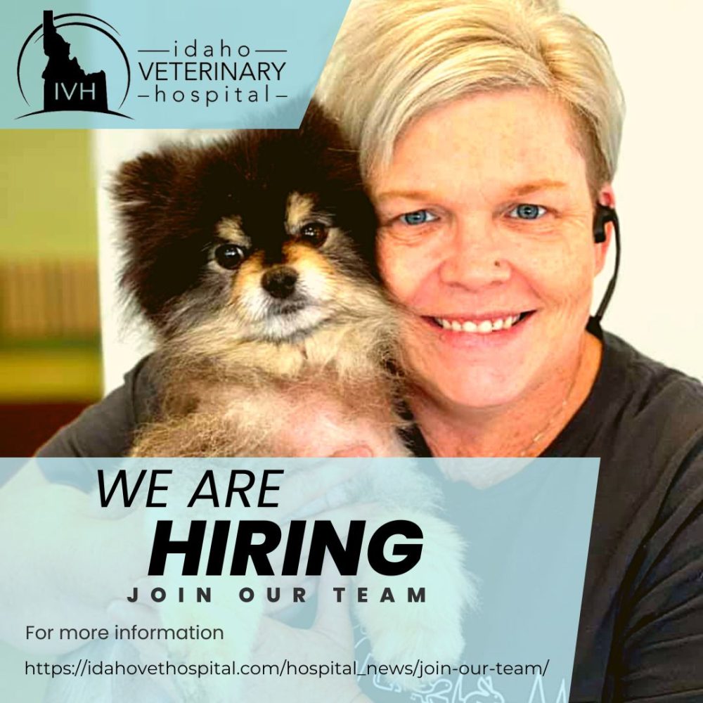 join-our-team-idaho-veterinary-hospital